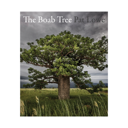The Boab Tree